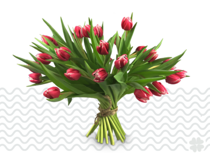 Boeket-Rood-Witte-Tulpen-bestellen