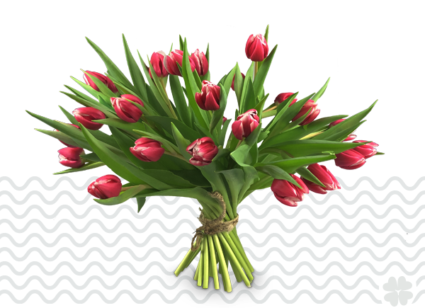 Boeket-Rood-Witte-Tulpen-bestellen