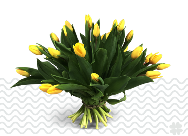 tulpen-vers-tilburg bezorgen-bestellen