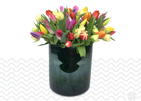 Tulpen-bestellen-in-Schiedam