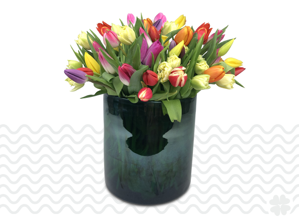 Tulpen-bestellen-in-Schiedam