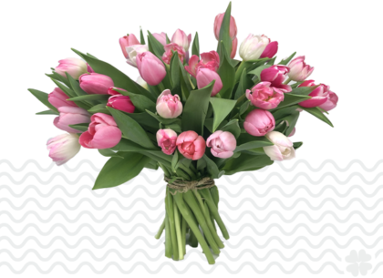 Tulpen-bestellen-en-bezorgen-