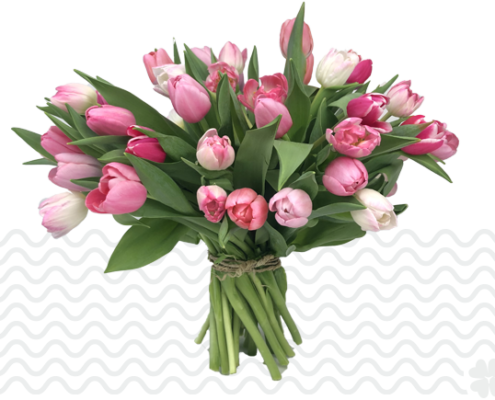 Tulpen-bestellen-en-bezorgen-