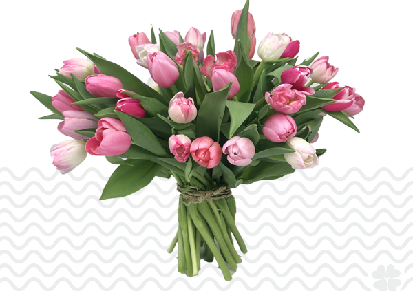 Tulpen-bestellen-en-bezorgen-