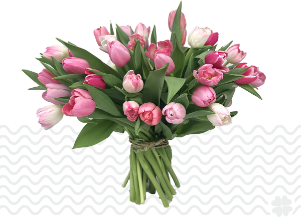 Tulpen-bestellen-en-bezorgen-